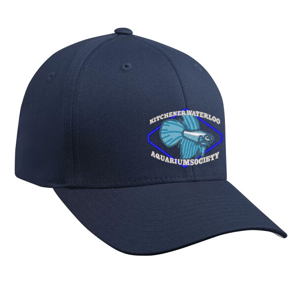 Embroidered Flexfit Hat Thumbnail